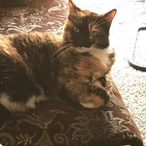 Meet your Posher, Carla